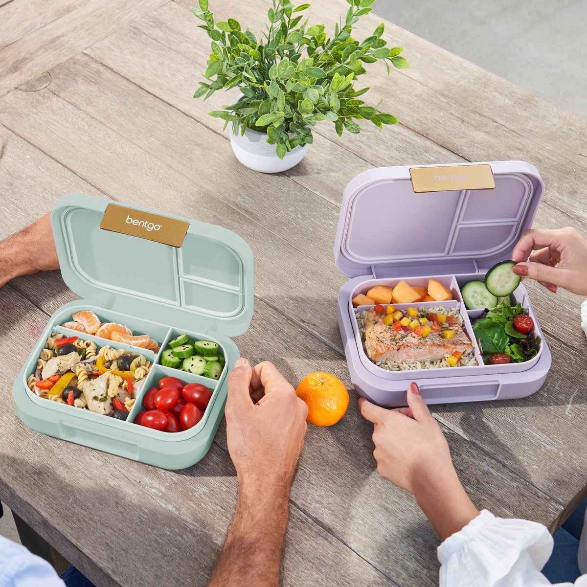 bentgo-modern-lunch-box-2-pack-n5 COSTCOBMCPRODUCTIMAGE_2.jpg